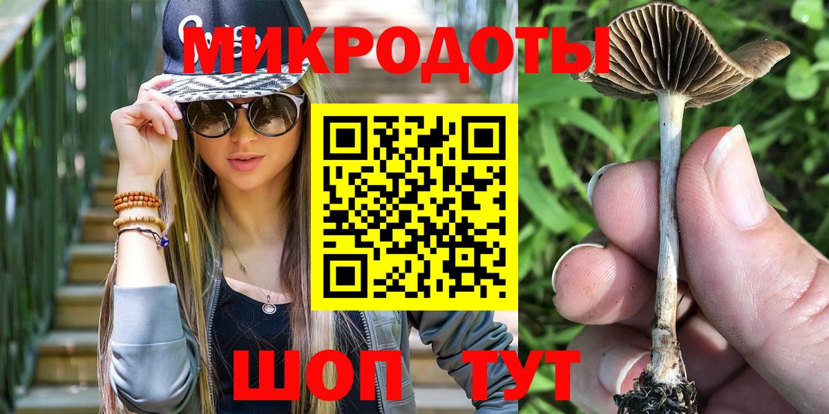 Псилоцибиновые грибы мицелий Кирово-Чепецк